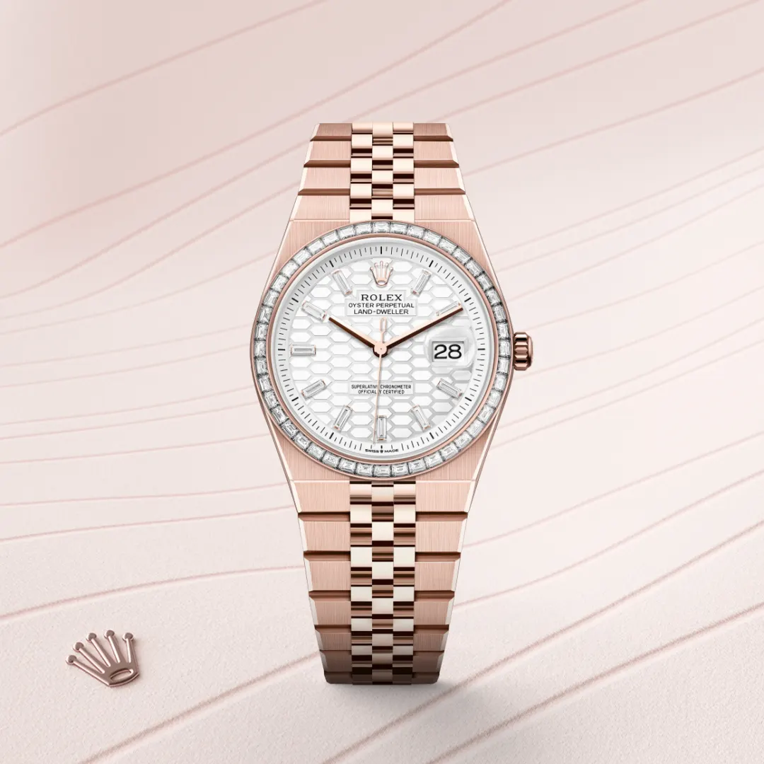Rolex Land-Dweller 36mm Everose gold and diamonds M127285TBR-0002